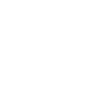 Dolibiz - L'expert Dolibarr - Module Dolibarr - Formation logo